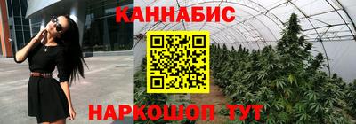 каннабис Камышлов