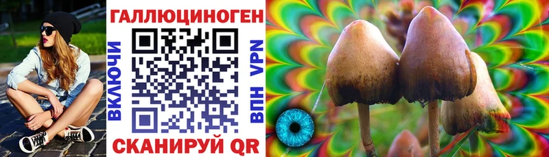 Псилоцибиновые грибы Cubensis  Первоуральск 