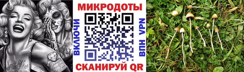 Псилоцибиновые грибы Cubensis Первоуральск