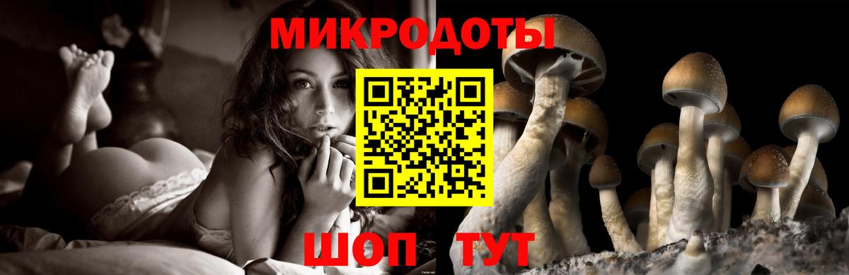 Псилоцибиновые грибы прущие грибы Первоуральск
